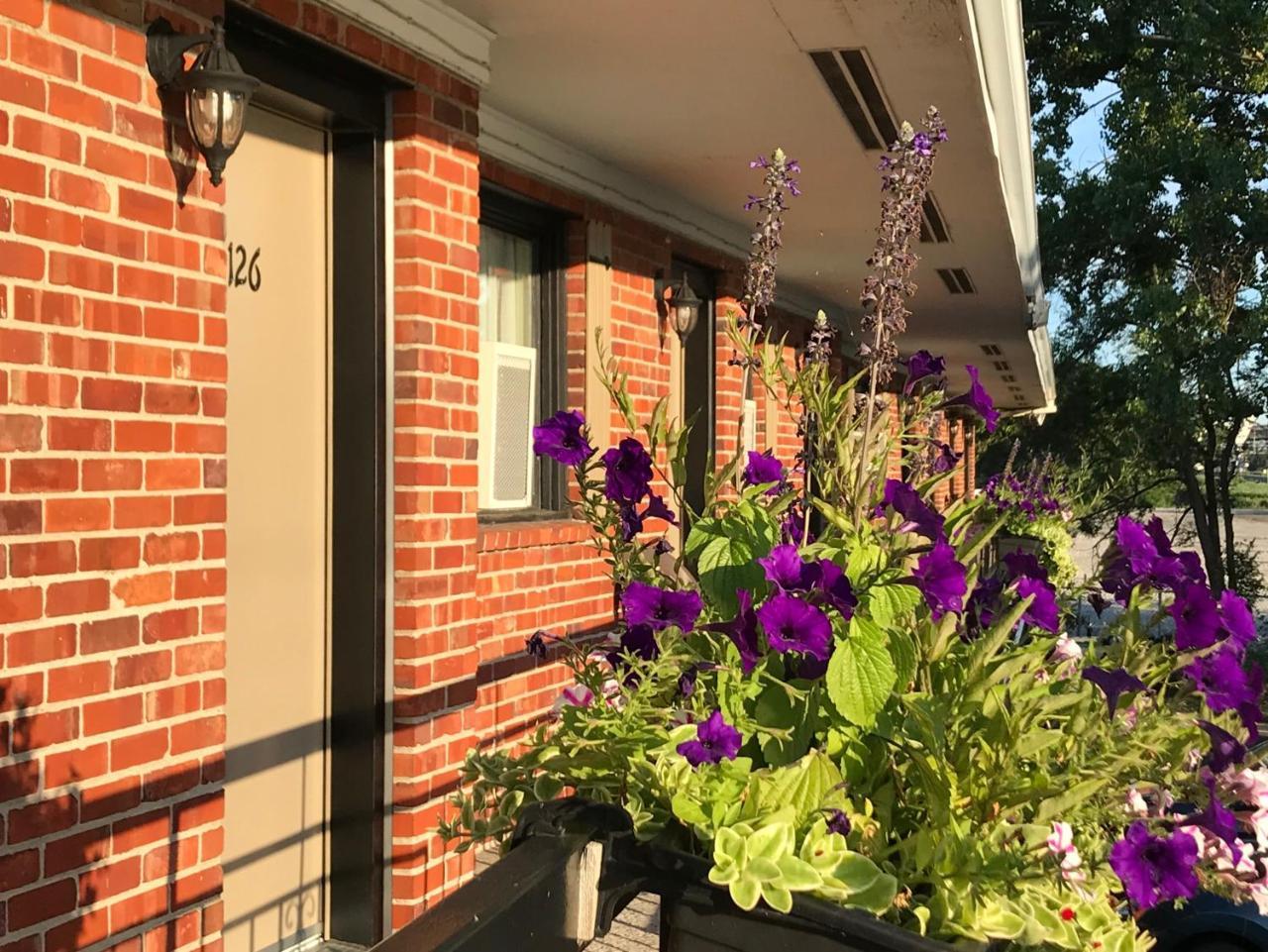 Motel Du Fleuve Brossard Exterior photo